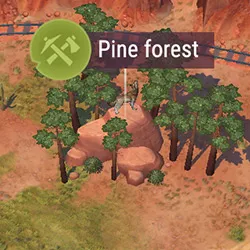 T1_Pine_Forest.jpg